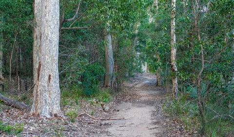 Delta Track - Lightning Ridge Tourism 0