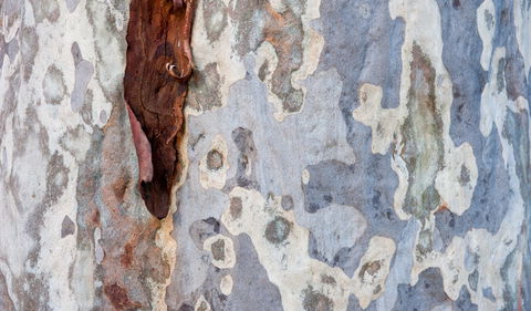 Delta Track - Lightning Ridge Tourism 1