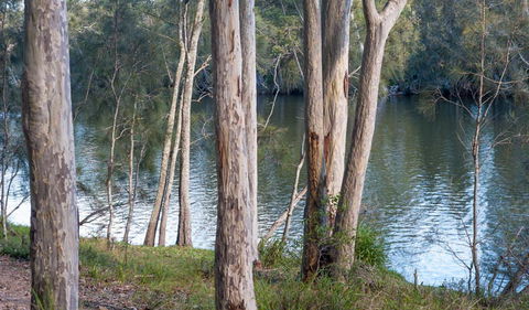 Delta Track - Lightning Ridge Tourism 2