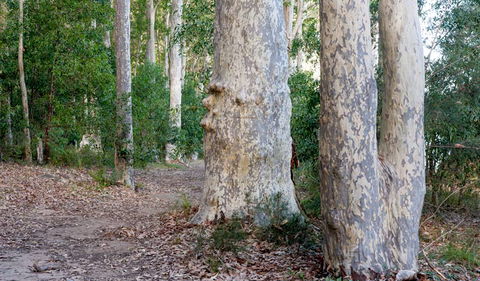 Delta Track - Lightning Ridge Tourism 3