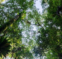 Botanic walk - Lightning Ridge Tourism