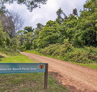 Antarctic Beech picnic area - Lightning Ridge Tourism