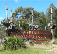 Jabiru Geenbeebeinga Wetlands - Lightning Ridge Tourism