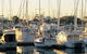 Brisbane Bayside - thumb 0