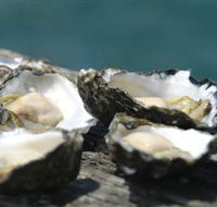 Jim Wilds Oyster Service - Lightning Ridge Tourism