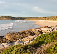 Burrawang track - Conjola Beach to Buckleys Point - Lightning Ridge Tourism