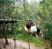 TreeTop Challenge - Lightning Ridge Tourism