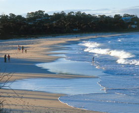 Mollymook Beach - Lightning Ridge Tourism 1