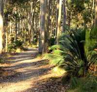 Square Head track 2 - Lightning Ridge Tourism
