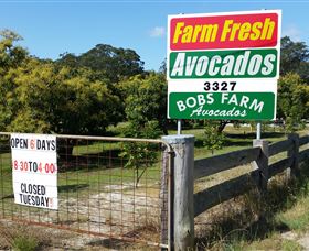 The Avocado Farm - Lightning Ridge Tourism 3