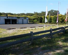 The Avocado Farm - Lightning Ridge Tourism 4