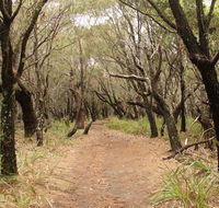 Pretty Beach to Snapper Point walking track - Lightning Ridge Tourism