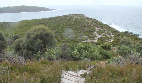 Pretty Beach To Snapper Point Walking Track - Lightning Ridge Tourism 2