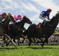 Moruya Racecourse - Lightning Ridge Tourism