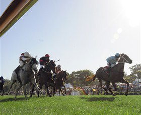 Moruya Racecourse - Lightning Ridge Tourism 1