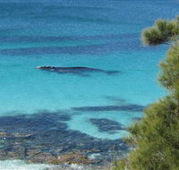 Jervis Bay Marine Park - Lightning Ridge Tourism