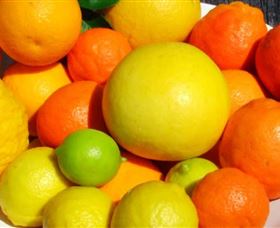 Fruit Salad Tree Company - Lightning Ridge Tourism 2