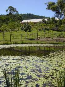 Mount Nathan Winery - Lightning Ridge Tourism 2