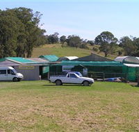Tinonee Orchid Nursery - Lightning Ridge Tourism