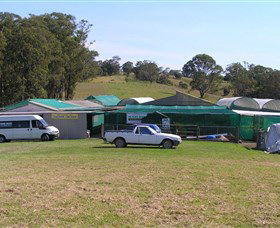 Tinonee Orchid Nursery - Lightning Ridge Tourism 0