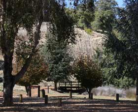 Oak Grove Walk, Balingup - Lightning Ridge Tourism 2
