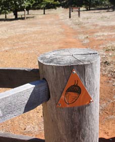 Oak Grove Walk, Balingup - Lightning Ridge Tourism 3