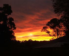 Tinonee Museum - Lightning Ridge Tourism 0