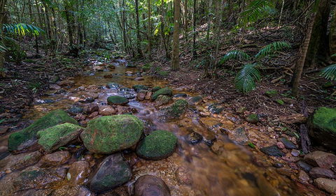 Starrs Creek Picnic Area - Lightning Ridge Tourism 0