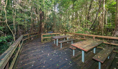 Starrs Creek Picnic Area - Lightning Ridge Tourism 1