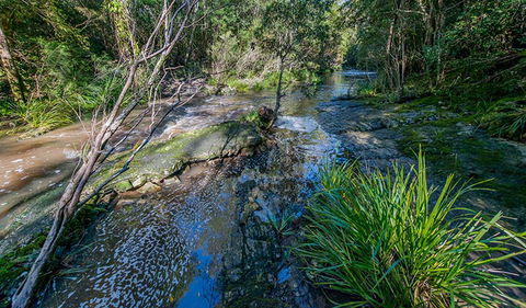 Dawson River Walking Track - Lightning Ridge Tourism 0