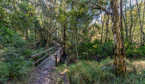 Dawson River Walking Track - Lightning Ridge Tourism 1