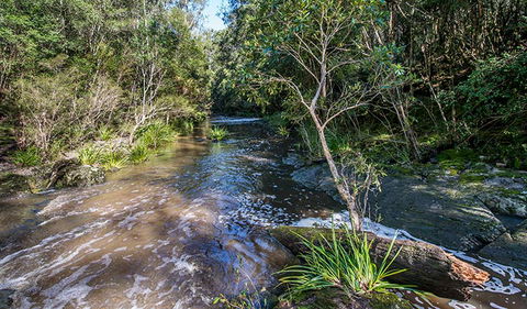 Brimbin Picnic Area - Lightning Ridge Tourism 2