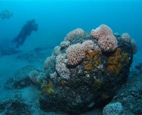 The Pines Dive Site - Lightning Ridge Tourism 2