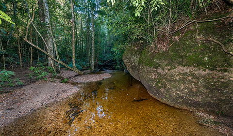 Coorabakh National Park - Lightning Ridge Tourism 2