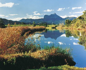 Wollumbin-Mount Warning National Park - Lightning Ridge Tourism 1