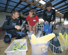 Dolphin Discovery Centre - Lightning Ridge Tourism 1