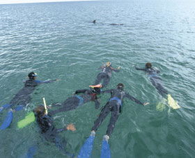 Dolphin Discovery Centre - Lightning Ridge Tourism 2