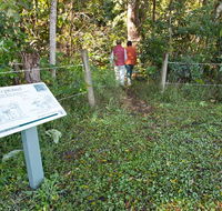 Coramba Nature Reserve - Lightning Ridge Tourism