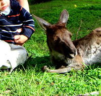 Bunbury Wildlife Park - Lightning Ridge Tourism