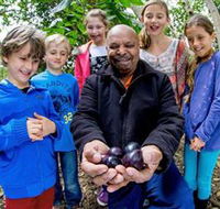 Wigay Aboriginal Culture Park - Lightning Ridge Tourism
