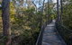 Myanba Gorge Walking Track - thumb 1