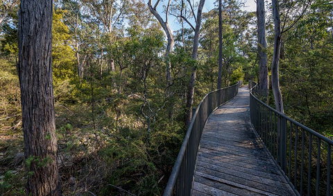 Myanba Gorge Walking Track - Lightning Ridge Tourism 1