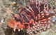 The Seaway Dive Site - thumb 0