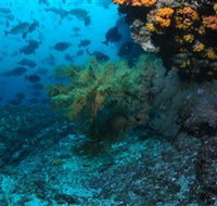 Henderson Rock Dive Site - Lightning Ridge Tourism