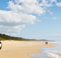 Bongil Bongil National Park - Lightning Ridge Tourism