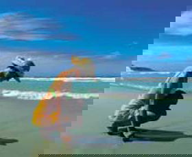 Hallidays Point NSW Lightning Ridge Tourism