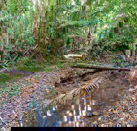 Ulidarra National Park - Lightning Ridge Tourism