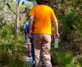 Naree Budjong Djara National Park - Lightning Ridge Tourism 3