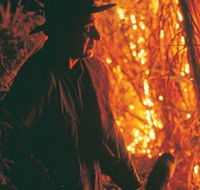 The Shed Gallery - Lightning Ridge Tourism