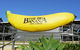 The Big Banana - thumb 0